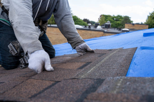 Best Roof Restoration Services  in Tladega, AL