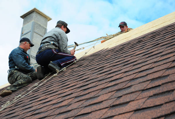 Best Local Roofing Companies  in Tladega, AL